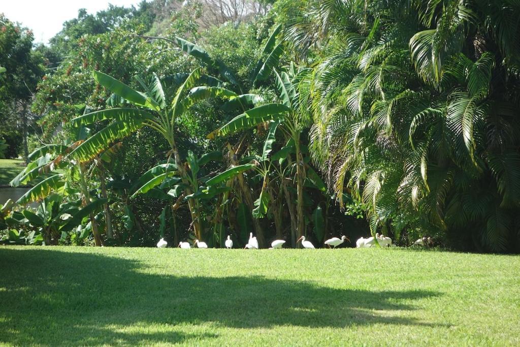 Pool Home With A New Sparkling Pool, Close To Beach, Lovely Lake View North Naples Extérieur photo